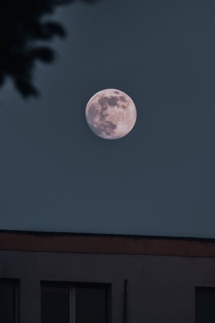 Descoperă magia din Cafeneaua Luna plină de Mai Mochizuki