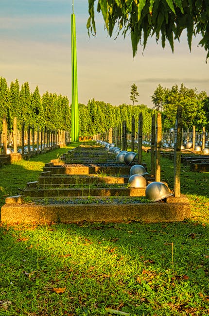 Reparațiile de la Cimitirul Șprenghi se apropie de finalizare