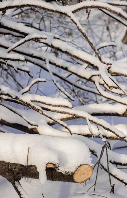 Temperaturi extrem de scăzute la Iași, mai frig decât pe vârfurile montane