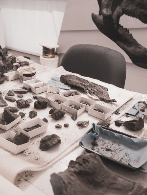 Descoperiri fascinante despre dinozauri în Geoparcul Țara Hațegului