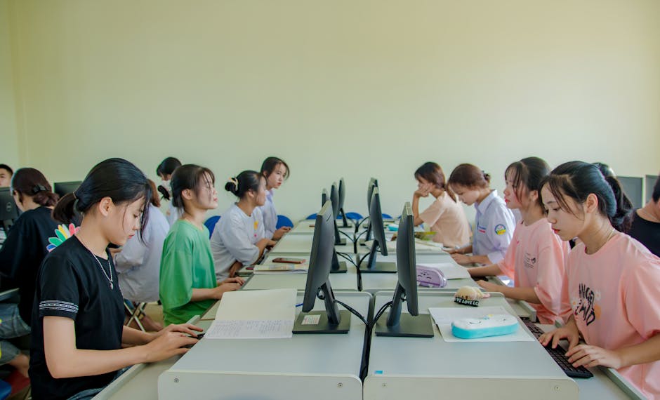 Admitere 2026 la UVT: criminalistica și psihologia domină preferințele candidaților