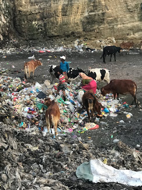 Terrifying transformation: the future site of Sibiu County Hospital turns into a dump