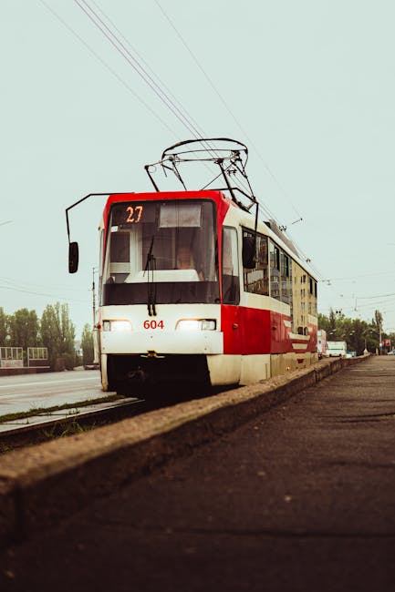 Aradul ar putea deveni primul oraș din România cu transport public gratuit