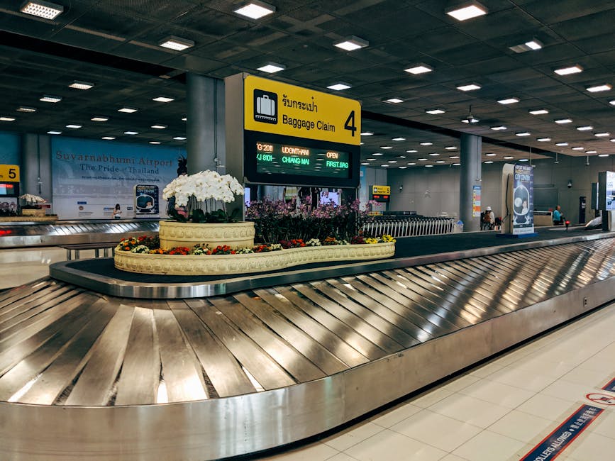 Cum să nu pierzi compensațiile pentru zboruri anulate: Air Claim îți simplifică procesul