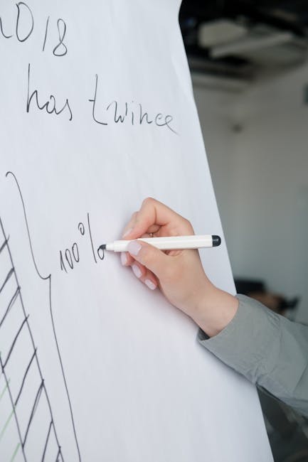 De ce tinerii români evită munca în timpul studiilor: un paradox statistic