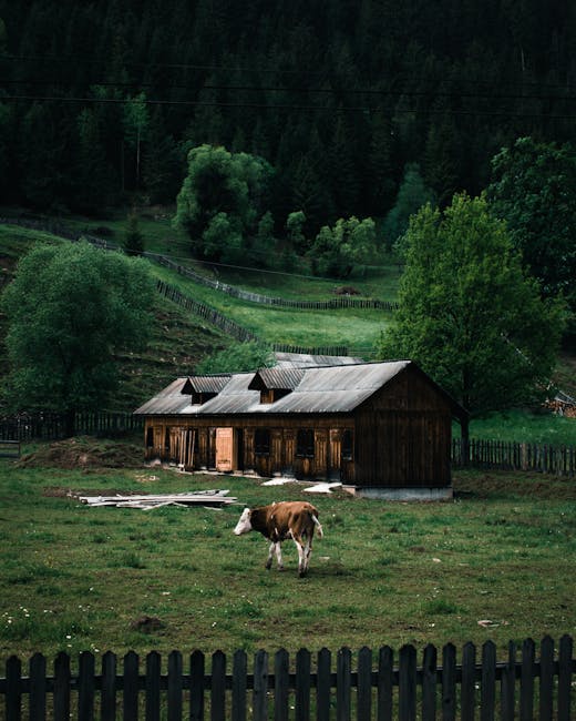 Tradiții și modernitate în agricultura românească, surprinse prin obiectivul fotografilor