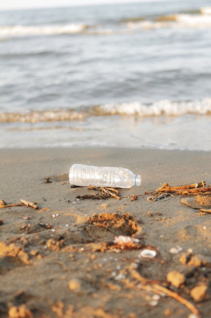 Plajă din Anglia invadată de cartofi și ceapă: o curățare de urgență în desfășurare