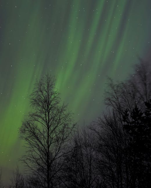 O auroră boreală rară a impresionat cerul Târgoviștei