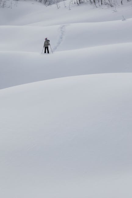 Kamchatka sub zăpadă: imaginea unui peisaj îngropat în alb