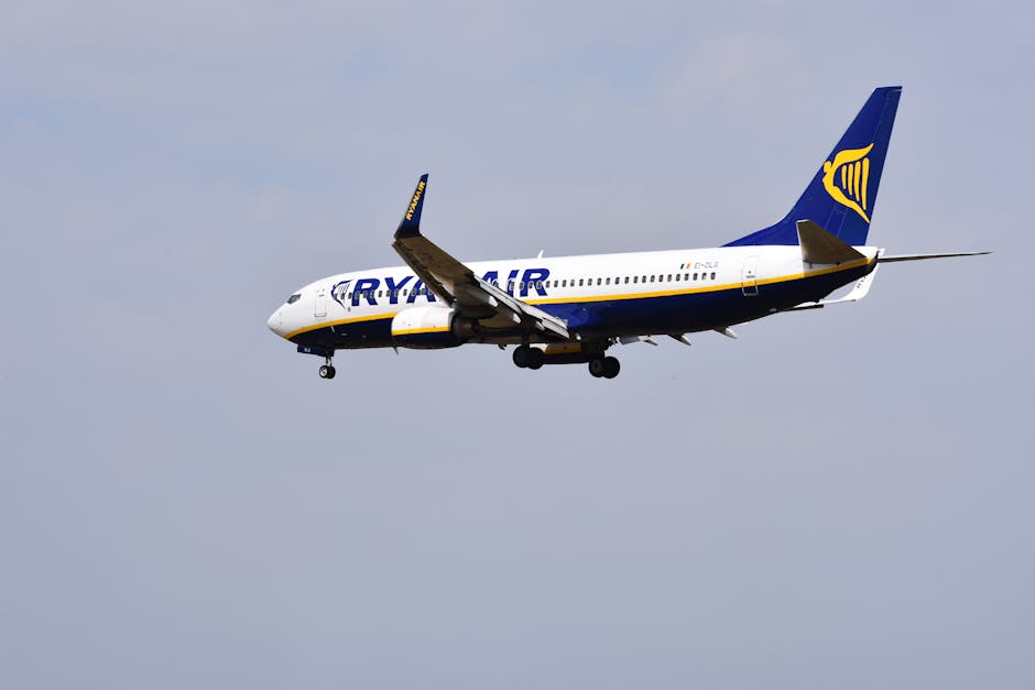 Dan Air, compania aeriană românească, se află în fața insolvenței