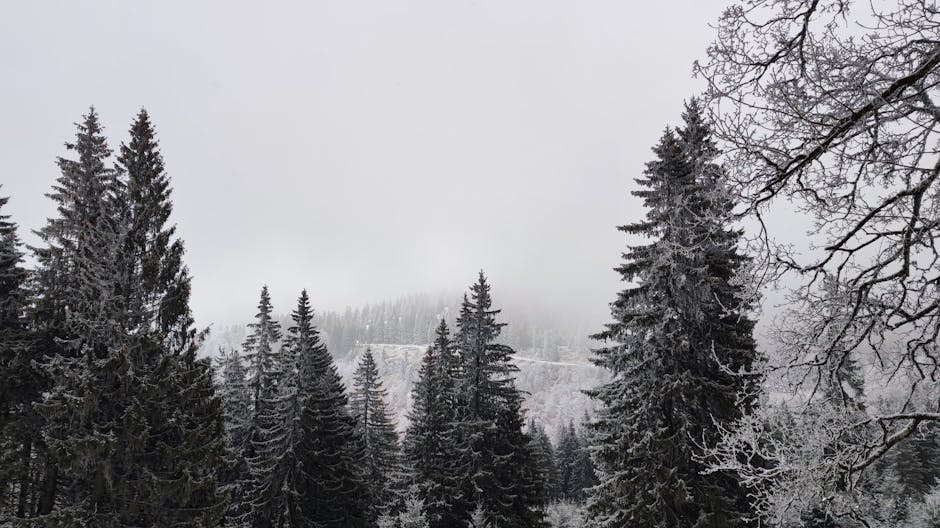 Dimineață rece în Brașov: temperaturi scăzute și chiar îngheț
