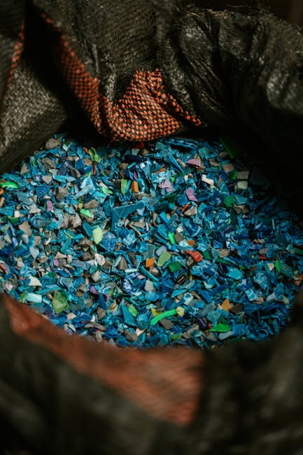 Cum o femeie din Costa Rica a transformat plasticul reciclat în casă după 9 ani de economii