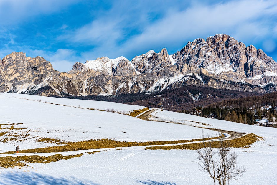 Explorează iarna în Retezat: traseul Stâna Scorota te așteaptă!