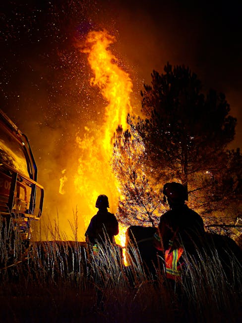 Incendii devastatoare în Hunedoara: 12 hectare de vegetație distruse și amenzi aplicate