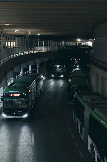 Armenișul se alătură Caransebeșului în implementarea transportului electric