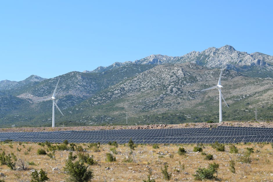 PPC Renewables România atinge o capacitate de 1,5 GW și vizează 2 GW până în 2026