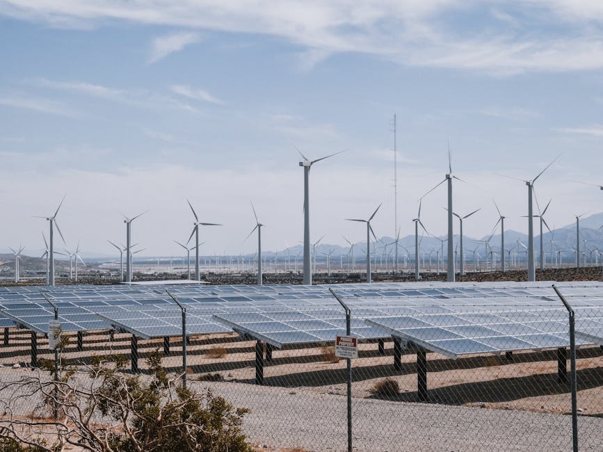 Electrica raportează o expansiune impresionantă a producției de energie în prima jumătate a anului