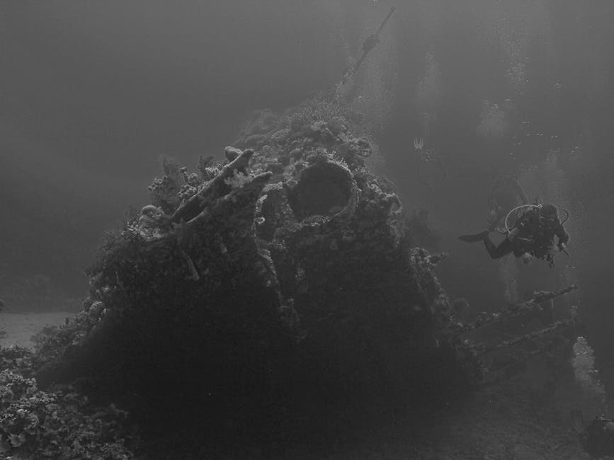Un lingou de argint recuperat din epava unei nave scufundate acum 404 ani în Florida