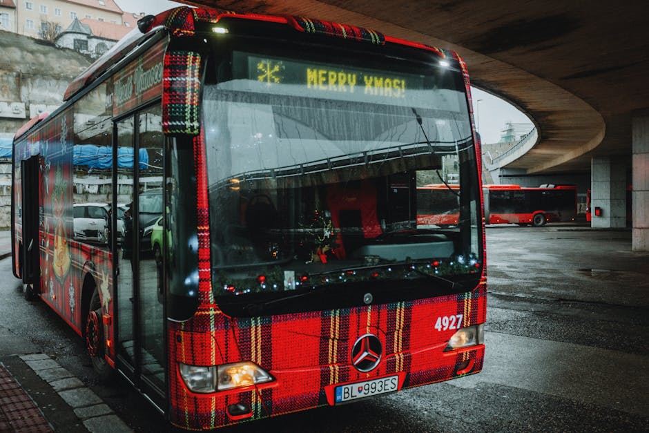 Craiova își recuperează stațiile de autobuz: fructele decorative dispar