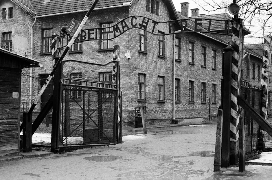 Un eveniment remarcabil dedicat memoriei Holocaustului la UMFST
