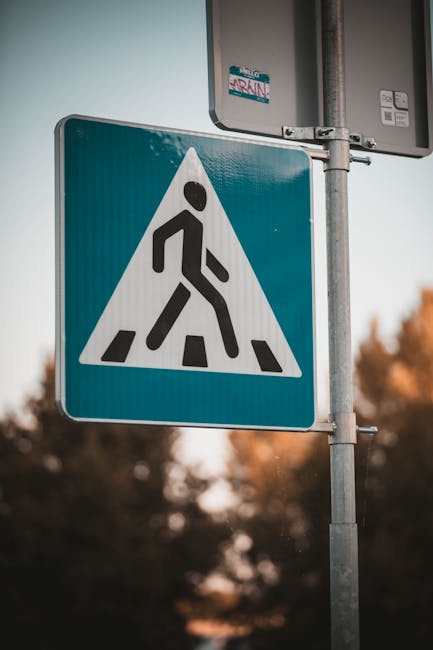 Reguli esențiale pentru siguranța la trecerile de pietoni în Vrancea