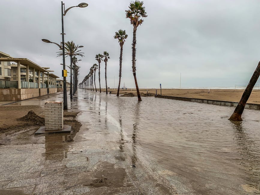 Furtuni devastatoare în Valencia: rafale de 150 km/h provoacă distrugeri