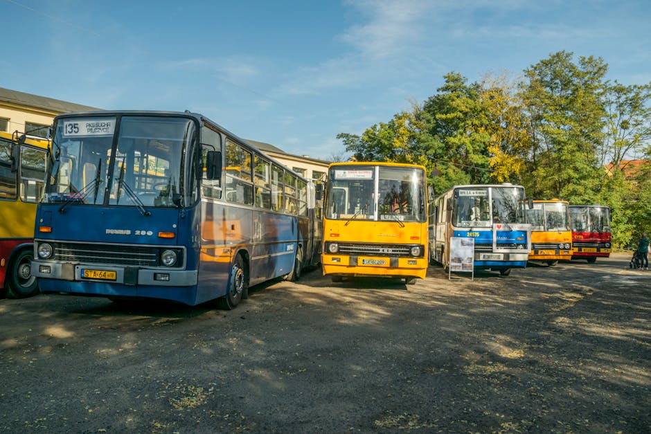 Modificări în transportul public din Iași de Ziua Unirii: ce trebuie să știi