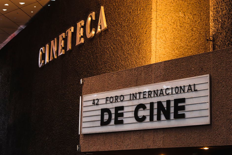 Festivalul FILMIKON aduce filme premiate și discuții profunde la Iași