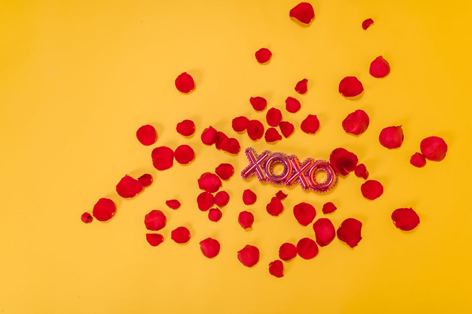 Cadouri unice de Valentine’s Day: Descoperă ce îți oferă EF STORE