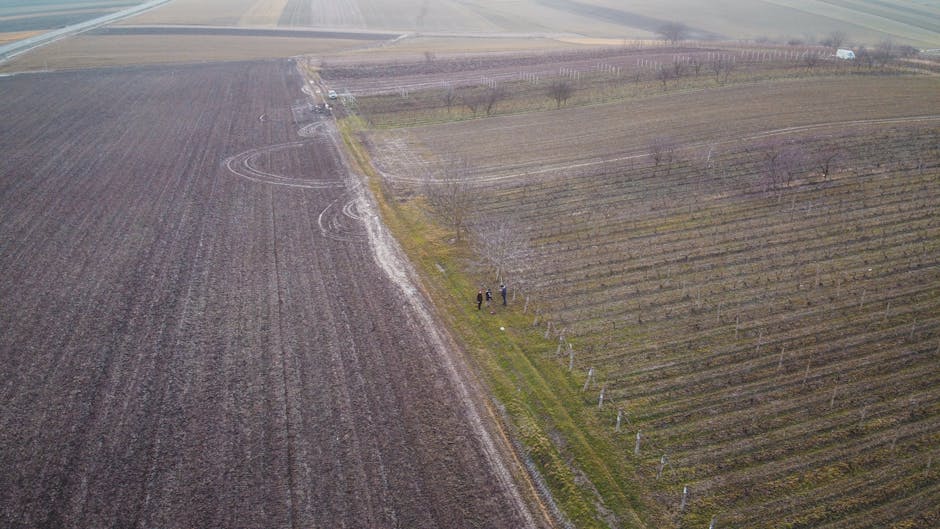 Ultima șansă pentru fermierii din Bihor: Cum să îți asiguri renta agricolă