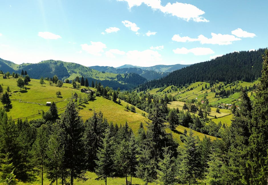 Suceava celebrează Ziua Unirii cu evenimente culturale și sportive