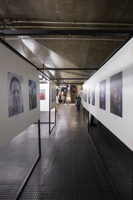 Descoperă coridoarele urbane: o expoziție captivantă la Casa cu Lei