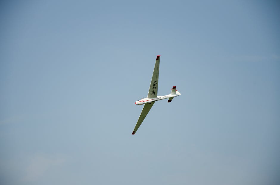 Un cadou surpriză din partea unui tânăr pasionat de aviație pentru Aeroclubul Deva
