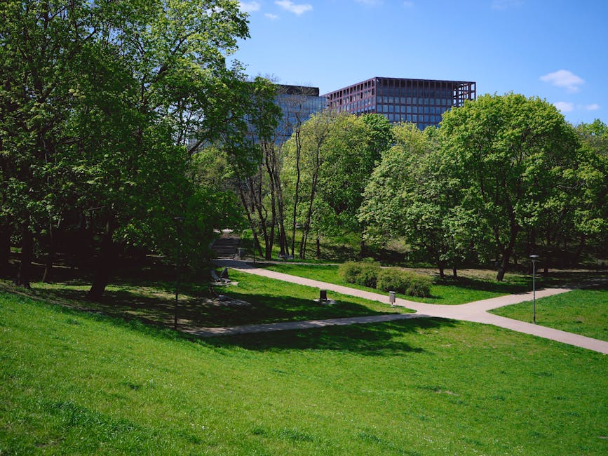 Șapte oferte pentru modernizarea parcului Nicolae Bălcescu: investiție de aproape 20 de milioane lei