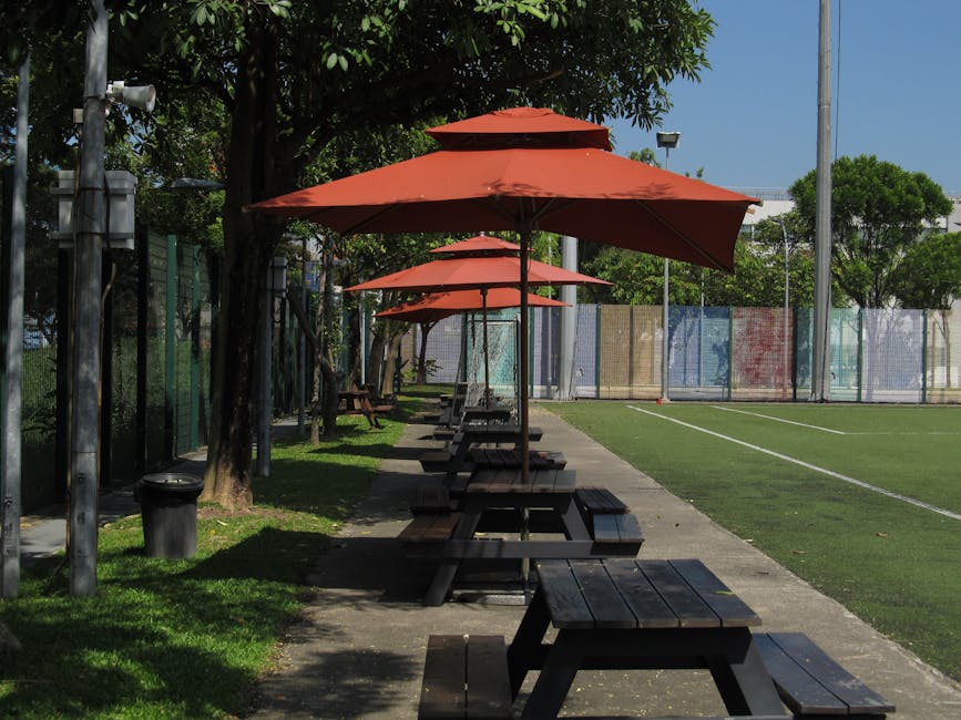 Transformarea zonei Noroieni: un parc urban modern cu cinema și terenuri de sport