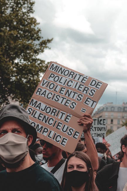Decizie controversată: Consiliul Constituțional din Franța respinge restricțiile pentru rețelele sociale destinate minorilor