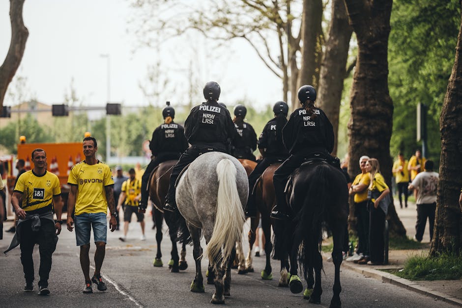Scenă de haos în Sibiu: jandarmii intervin cu gaze lacrimogene la confruntarea suporterilor