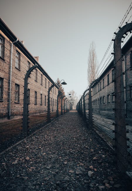 Povești emoționante de supraviețuire ale Holocaustului, rememorate la Sinagoga din Bistrița