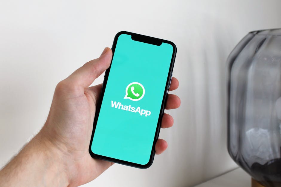 Noua funcție WhatsApp te protejează de înșelătorii: cum funcționează Scam Alert