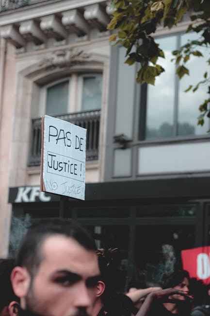 Conflicte în PNL: Alin Tișe susține justiția împotriva campaniei lui Bolojan