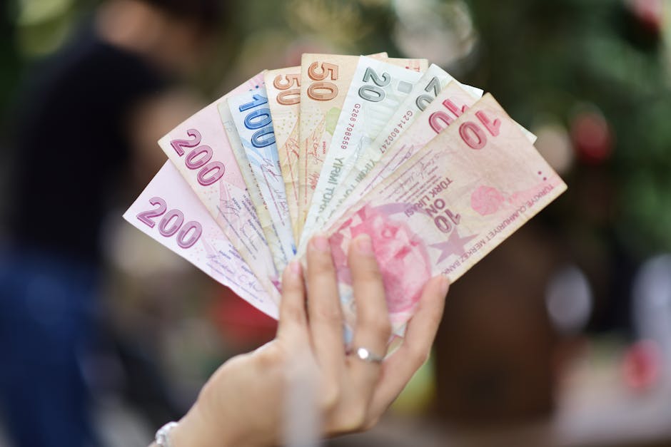 Investiție majoră în Călărași: o companie turcă planifică deschiderea unei fabrici