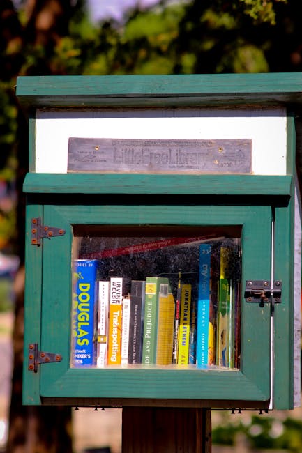 Biblioteca din Pietrari revine la viață: un nou sanctuar pentru cititori