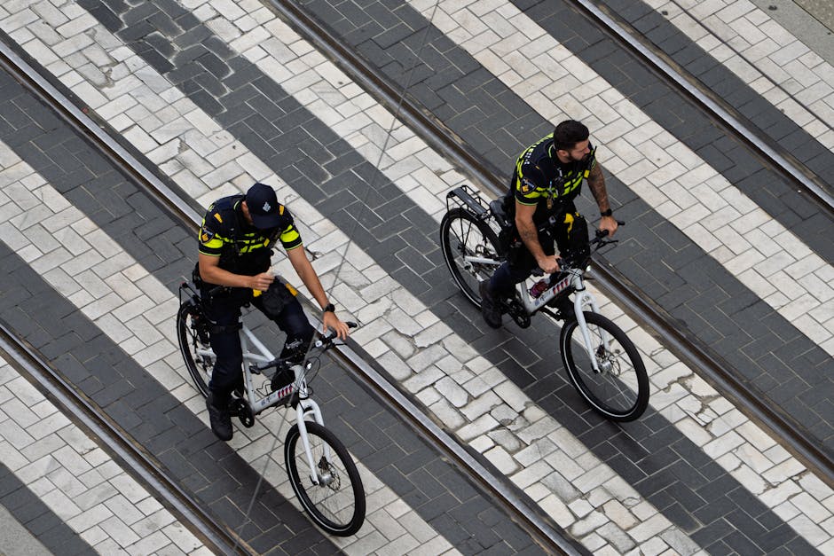Biciclete electrice furate în valoare de 20.000 de euro, descoperite pe autostrada A3