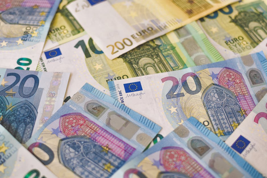Germania sugerează o Europă cu două viteze pentru a impulsiona economiile