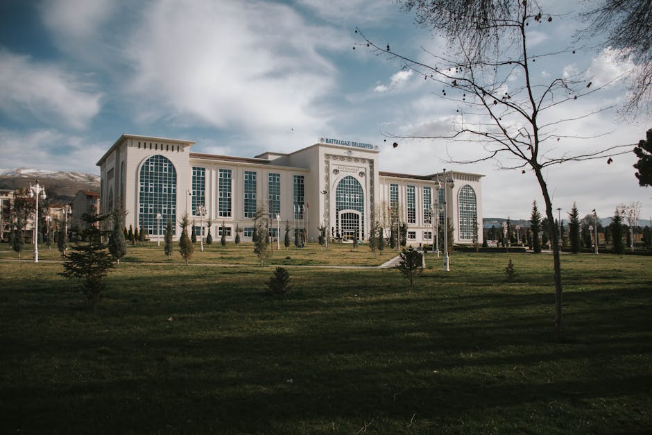 Oradea: Venituri record din chirii și achiziții de terenuri în 2025
