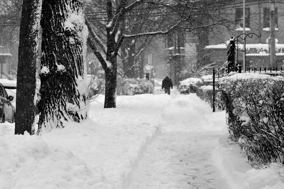 Marele viscol din 1954: O iarnă de neuitat în România