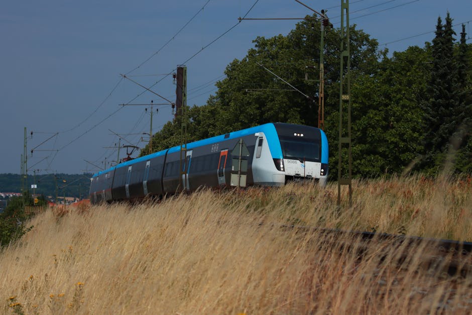 CFR Călători aduce trenuri speciale pentru Săptămâna Europeană a Mobilității