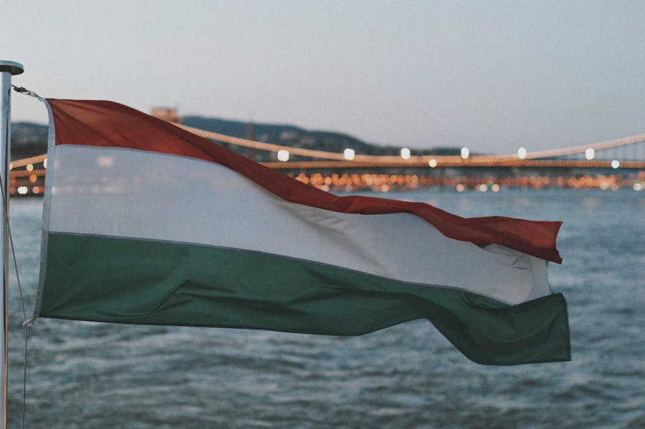 Primarul Budapestei, sub acuzare pentru organizarea Budapest Pride