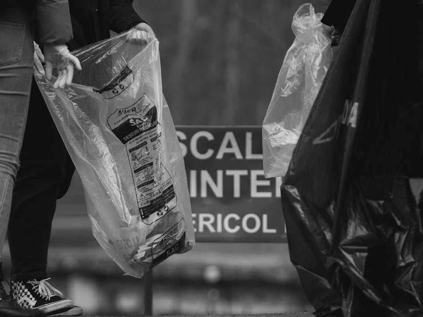 Zilele Zalăului: Brantner facilitează colectarea deșeurilor prin amplasarea de pubele