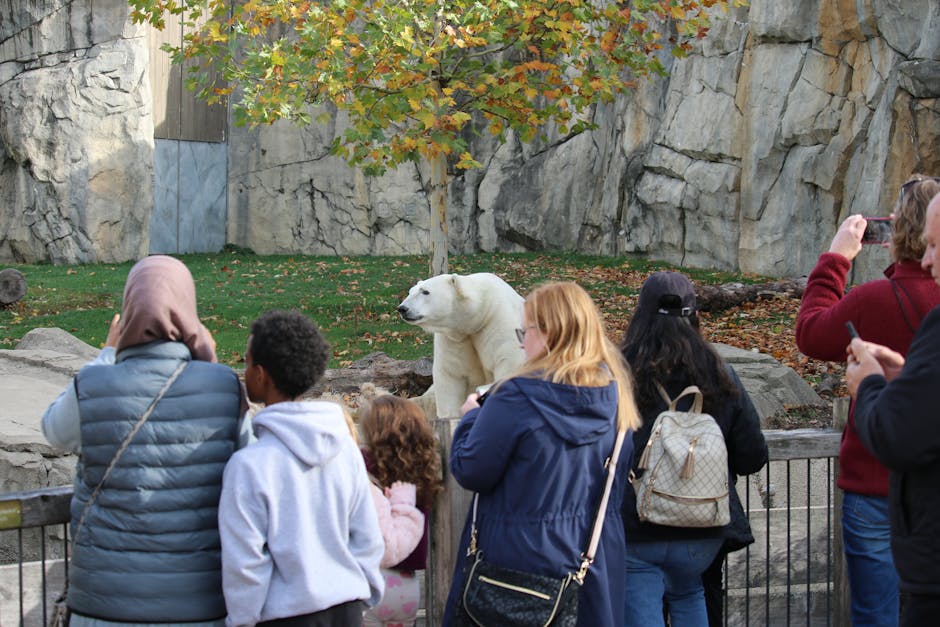 Descoperă magia „Zilei Ursului” la ZOO Brașov: o sărbătoare interactivă pentru întreaga familie
